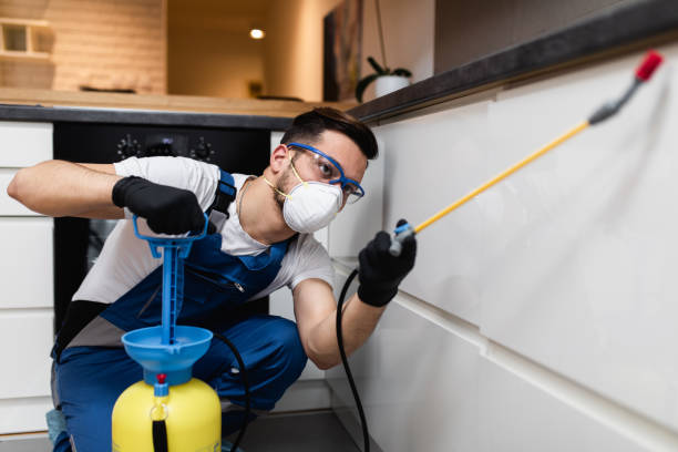 Reliable North Corbin, KY Pest Control Solutions