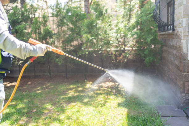 Best Affordable Pest Control Services  in North Corbin, KY