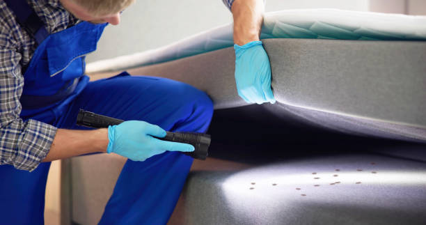 Best Ant Control Services  in North Corbin, KY