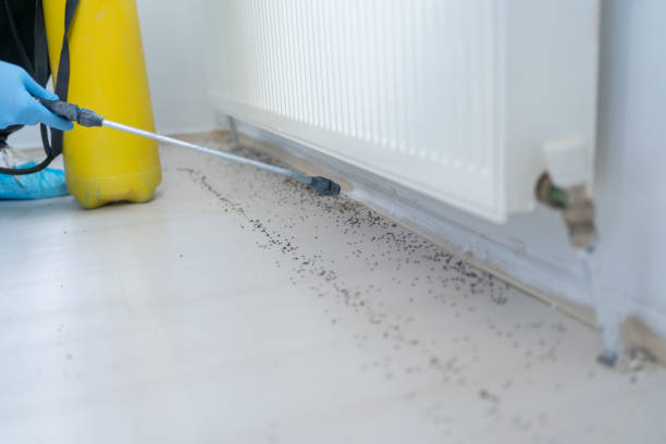 Pest Control for Restaurants in North Corbin, KY