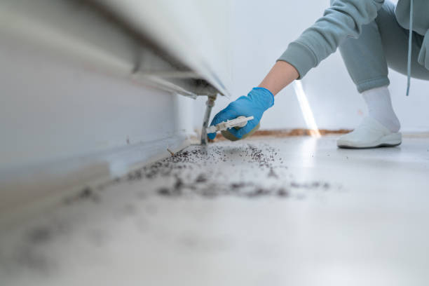 Best Pest Inspection Near Me  in North Corbin, KY